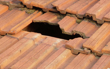 roof repair Lower Wych, Cheshire